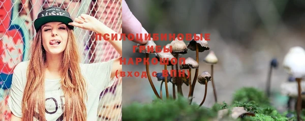 хмурый Кукмор
