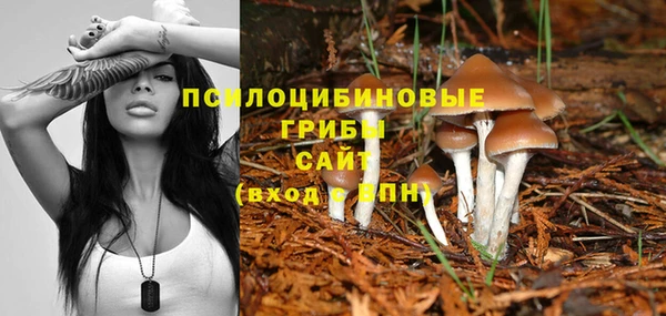 хмурый Кукмор