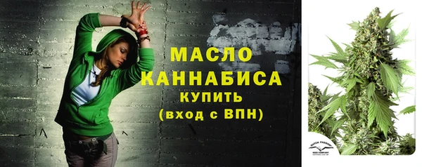 твердый Кулебаки