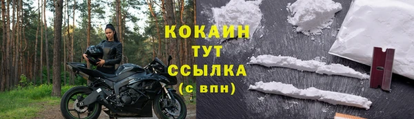 твердый Кулебаки