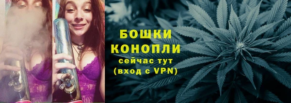 твердый Кулебаки