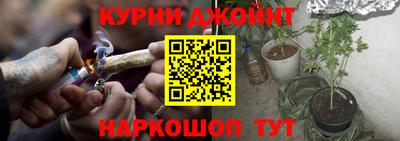 стаф Камышлов