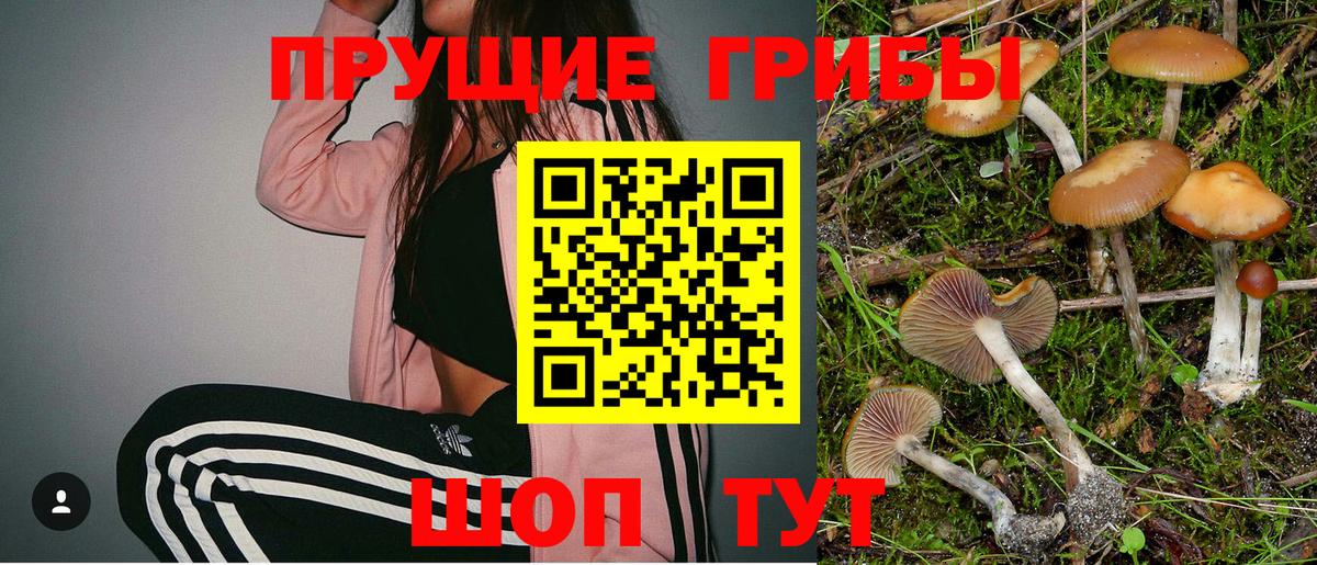 Галлюциногенные грибы мицелий  Черняховск  Галлюциногенные грибы мицелий 