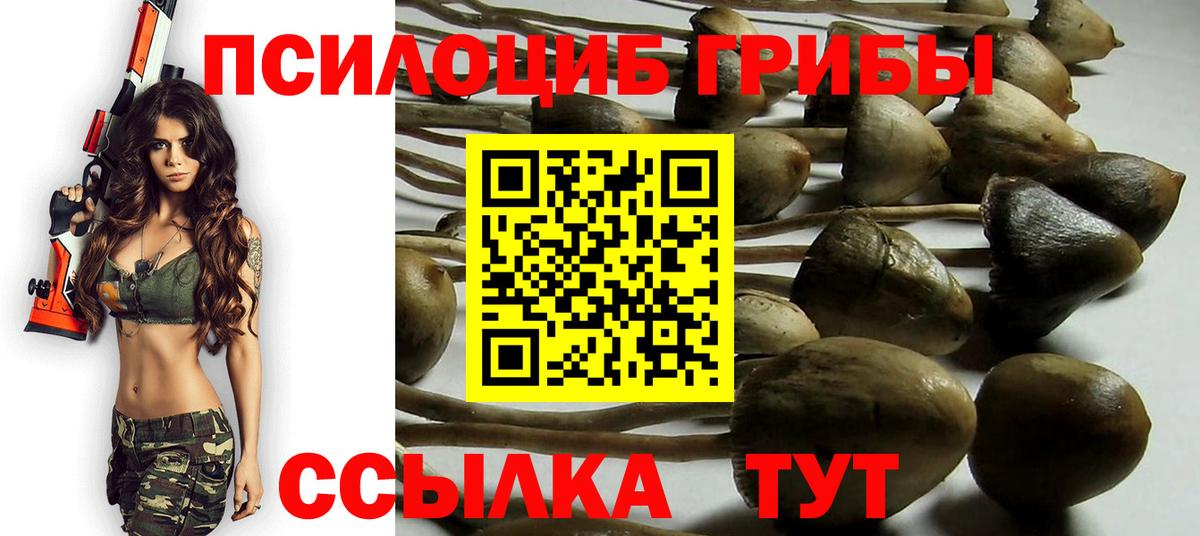 Псилоцибиновые грибы Cubensis  Вход с VPN  Галлюциногенные грибы мицелий  Черняховск 