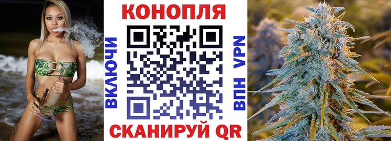 Каннабис Ganja Черняховск